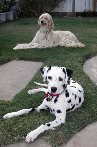 Our gems - Ruby and Geo Murbach